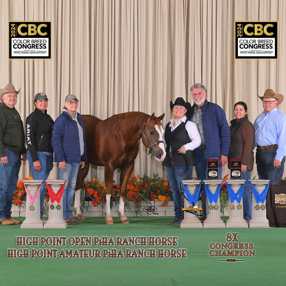 Boots, Jeans, Belts, Handbags